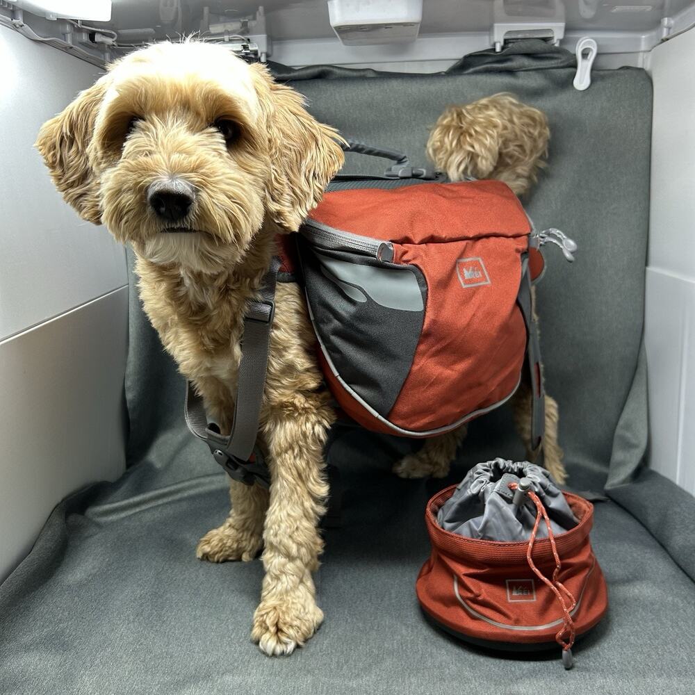 REI Dog Pack Hiking Backpack Saddlebag Harness LARGE Orange & Drawstring Tote